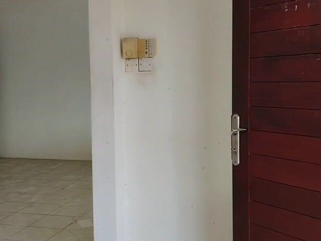 Video Image 1