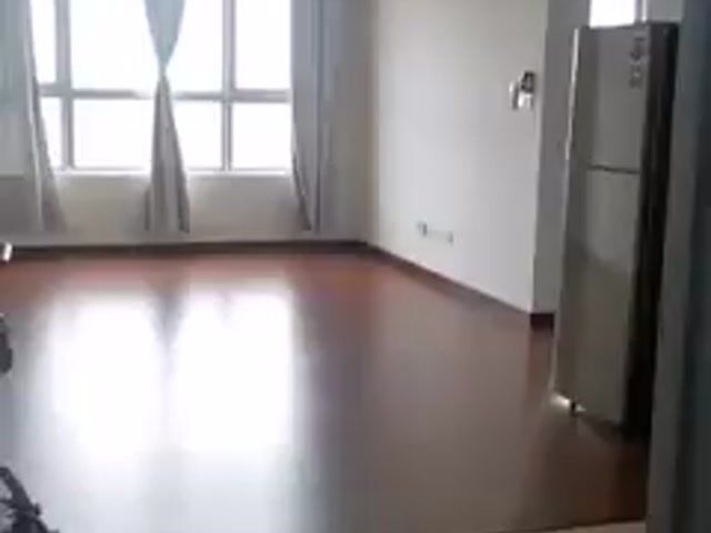 Video Image 1