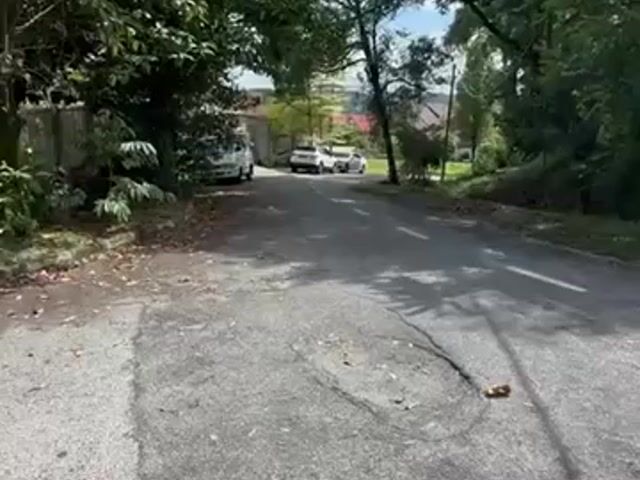 Video Image 1