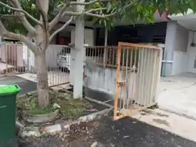 Video Image 1