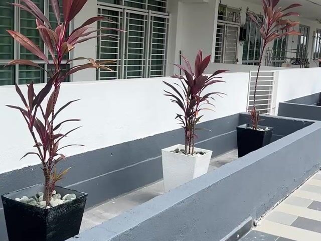 Video Image 1