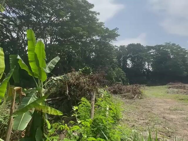 Video Image 1