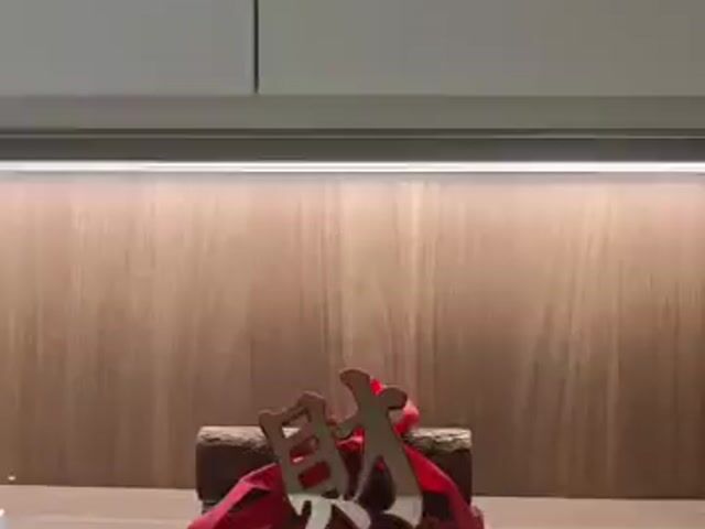 Video Image 1