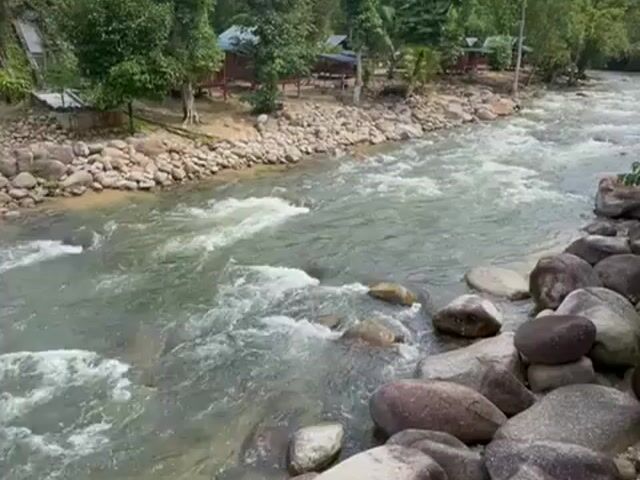 Video Image 1