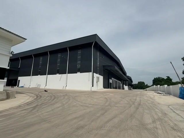 Video Image 1