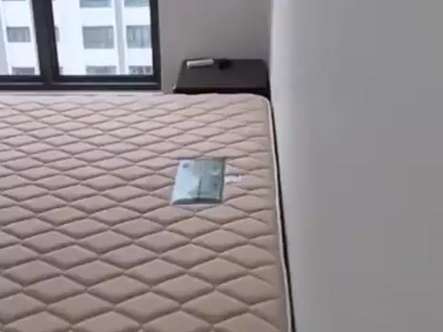 Video Image 1