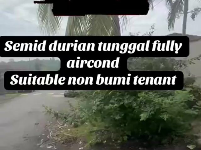Video Image 1