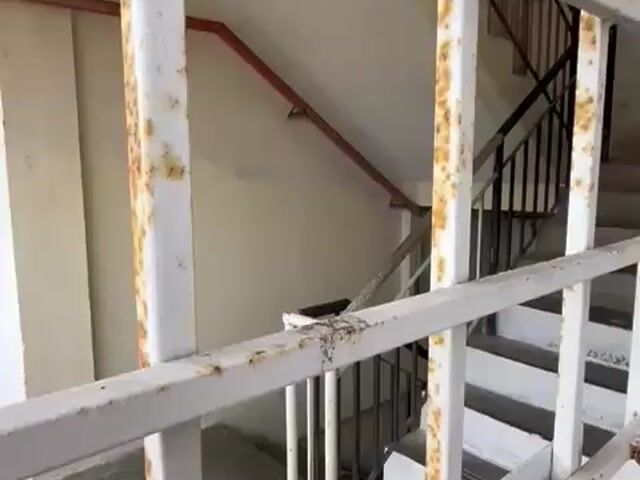 Video Image 1