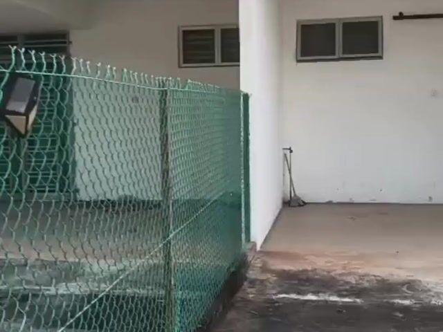 Video Image 1