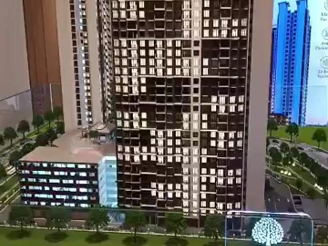 Video Image 1