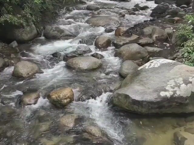 Video Image 1