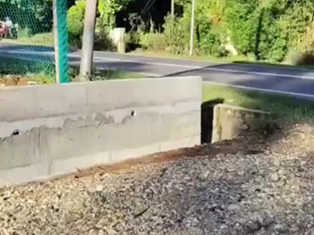 Video Image 1