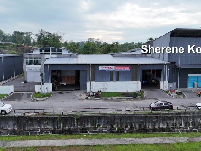 Video Image 1