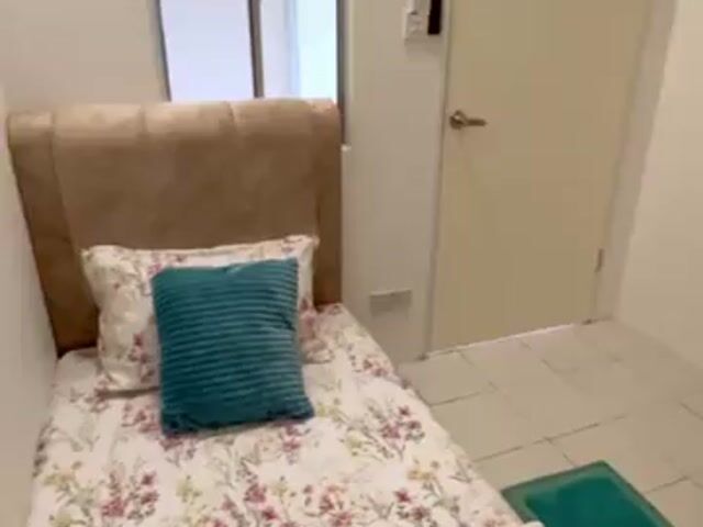 Video Image 1