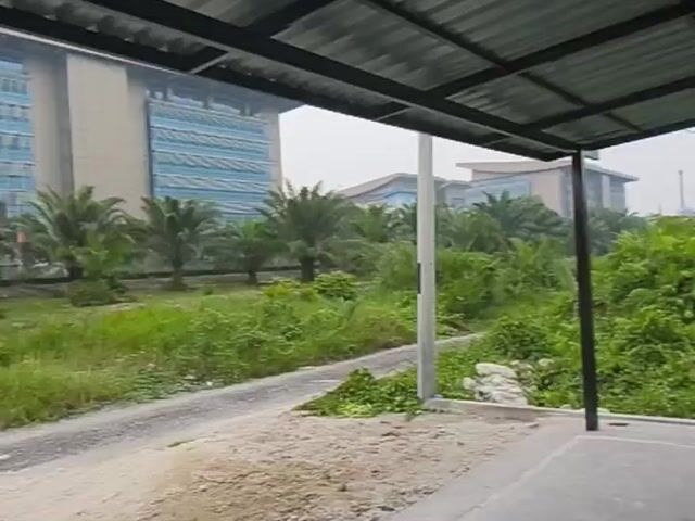Video Image 1