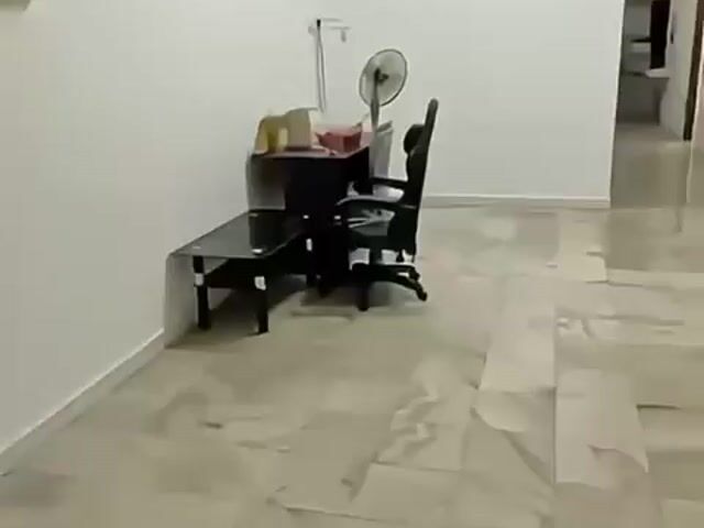 Video Image 1