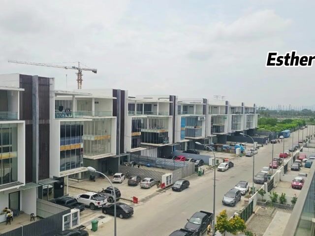 Video Image 1