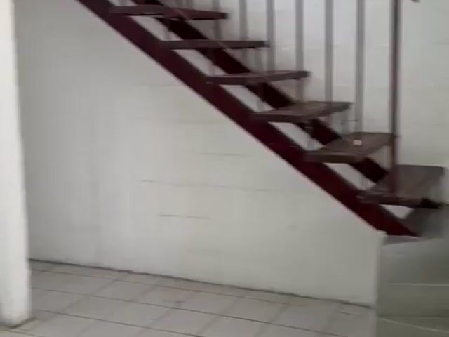 Video Image 1