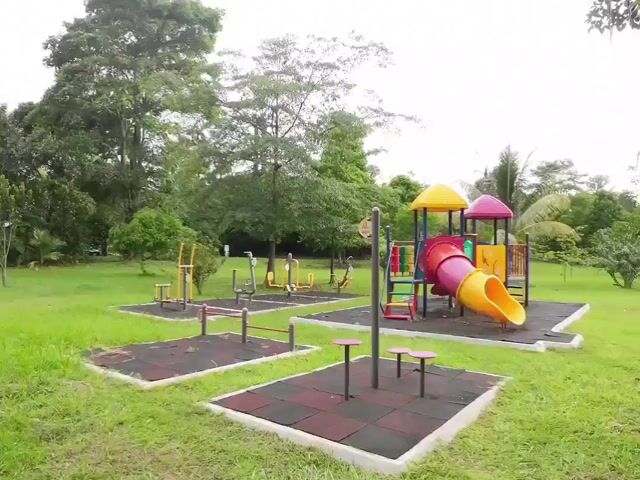 Video Image 1