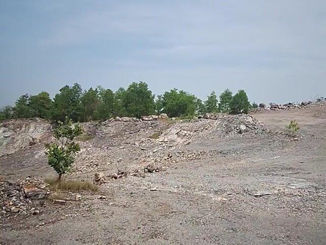 Video Image 1