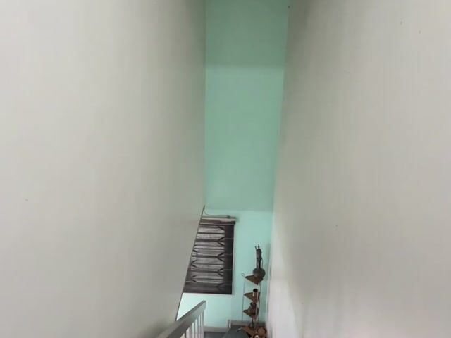 Video Image 1