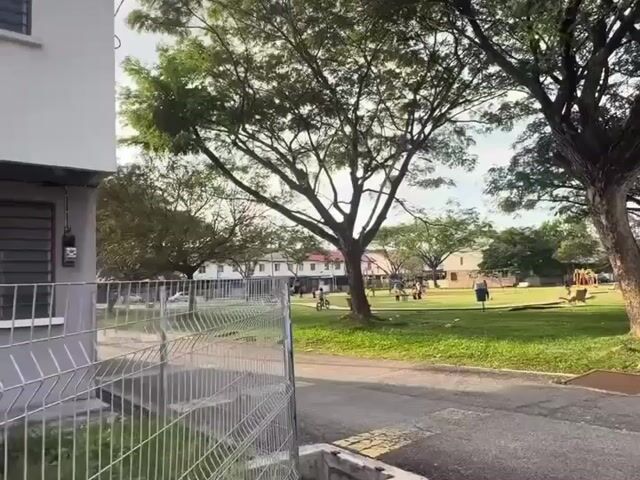 Video Image 1