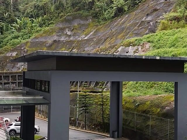 Video Image 1