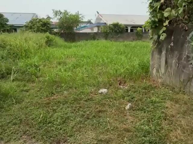 Video Image 1