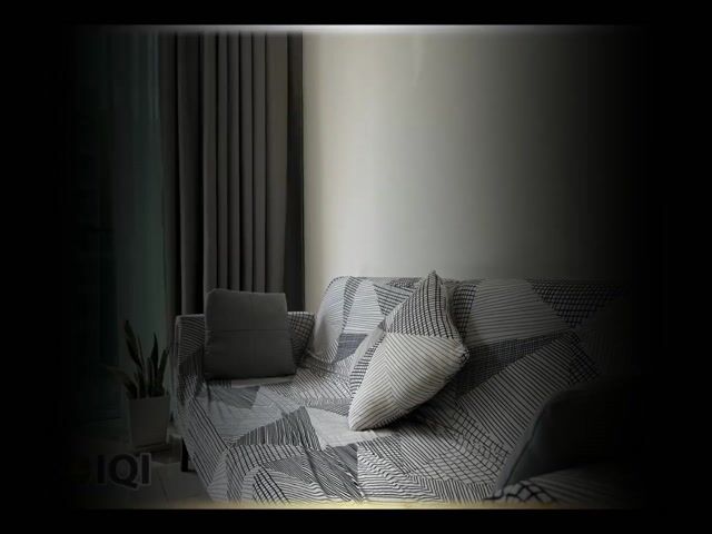 Video Image 1