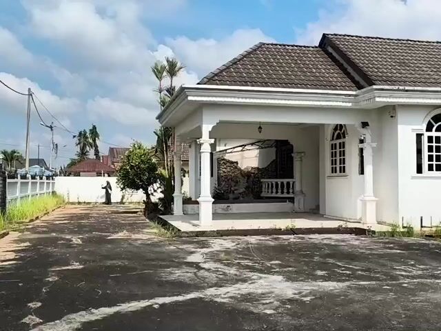 Video Image 1