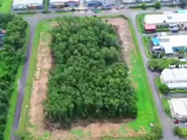 Video Image 1