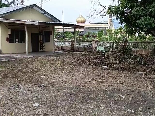 Video Image 1
