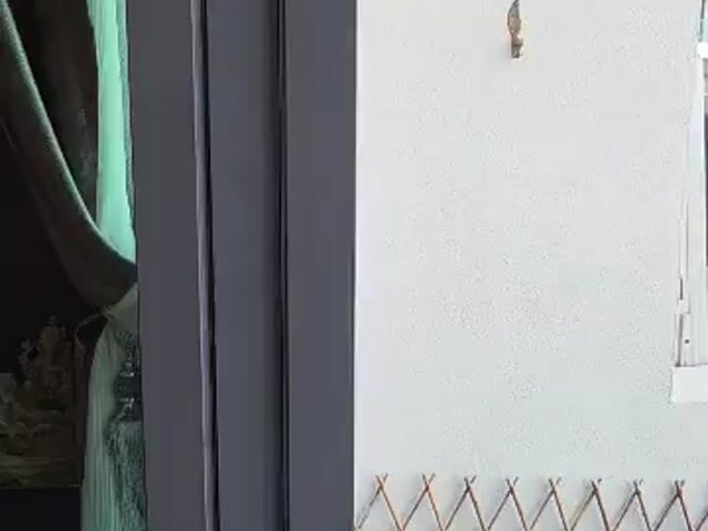 Video Image 1