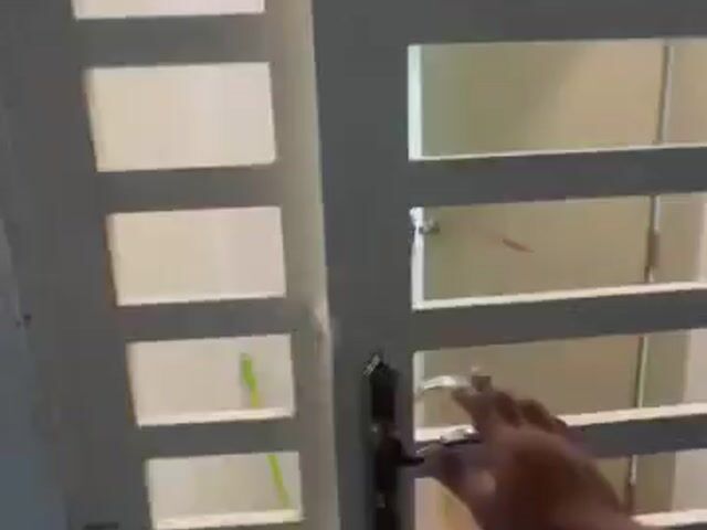 Video Image 1