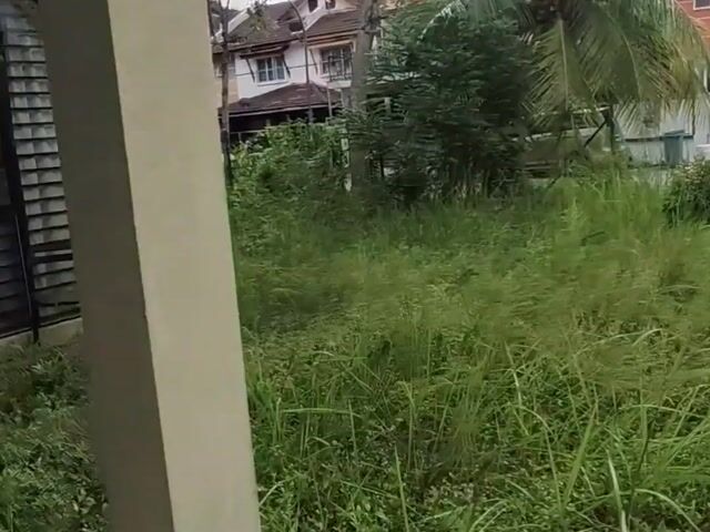 Video Image 1