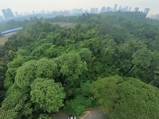 Video Image 1