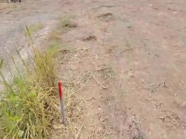 Video Image 1