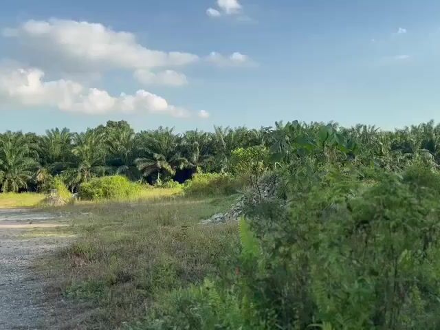 Video Image 1