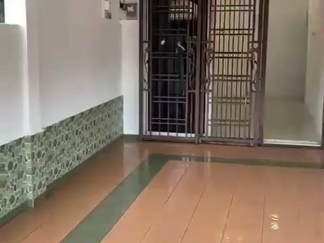 Video Image 1