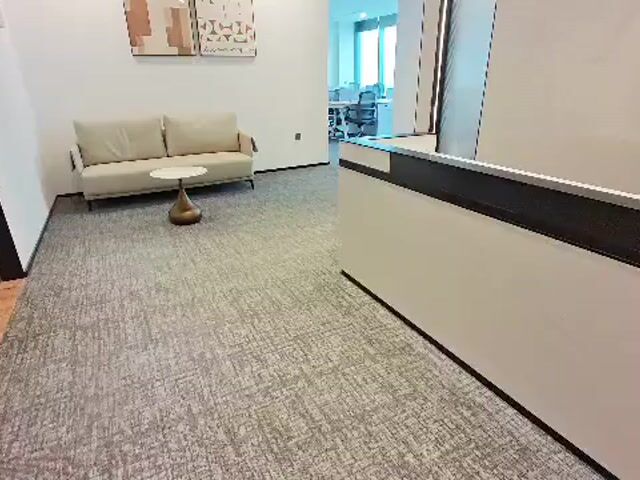 Video Image 1