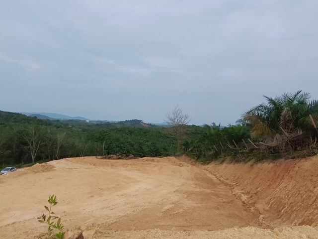 Video Image 1