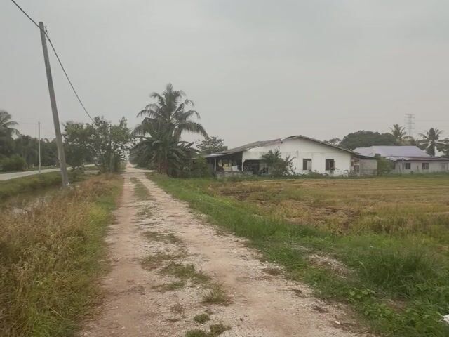 Video Image 1
