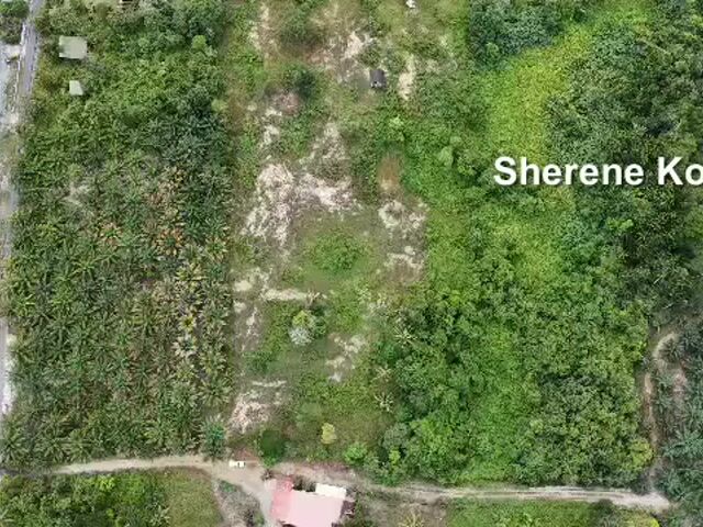 Video Image 1