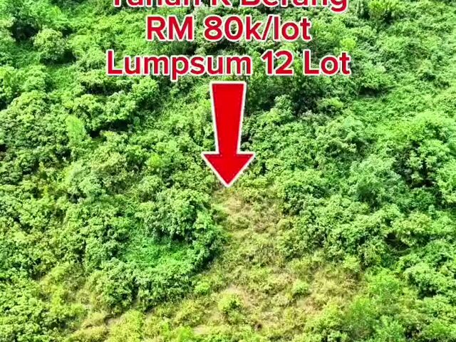 Video Image 1