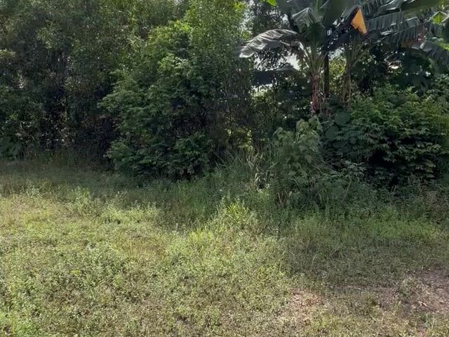 Video Image 1