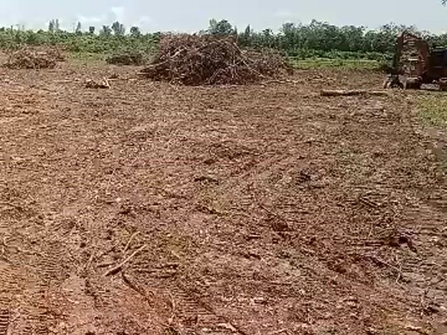 Video Image 1
