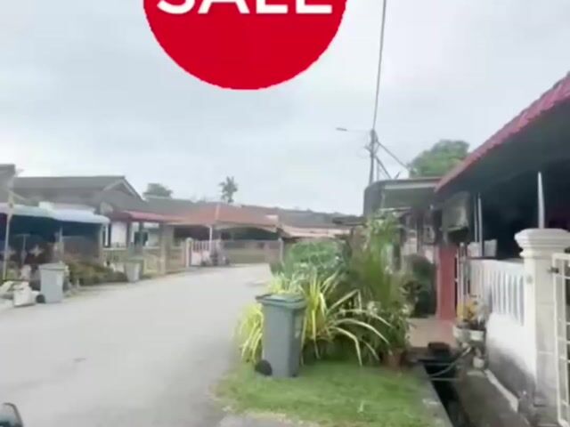 Video Image 1