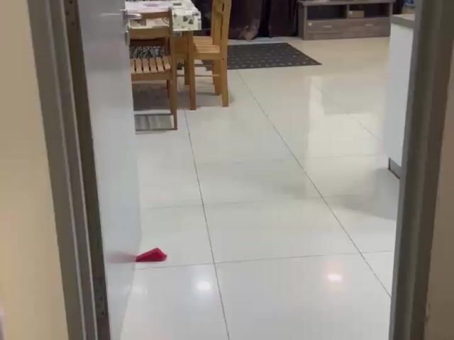 Video Image 1