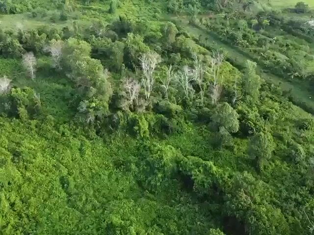 Video Image 1
