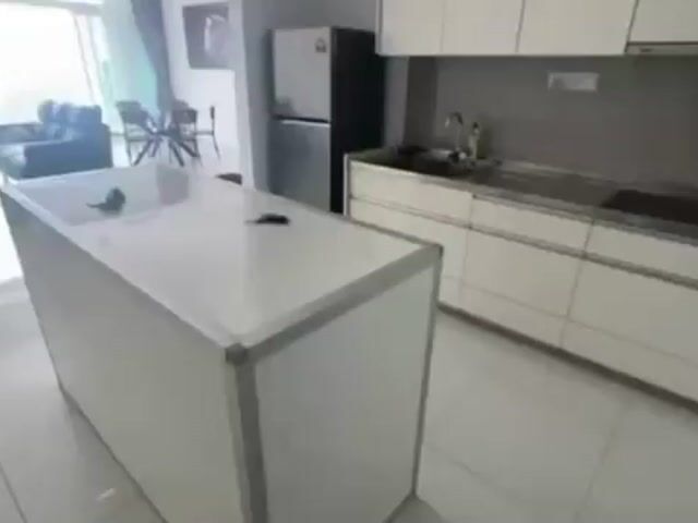 Video Image 1